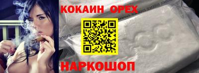 прущие грибы Будённовск