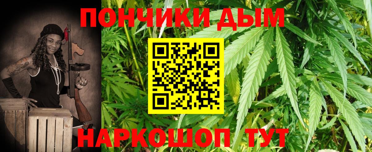 Канабис гибрид  Вход с VPN  Марихуана марихуана  Бошки Шишки White Widow  Хасавюрт 